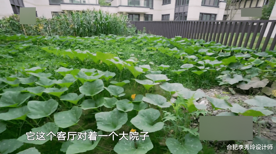 卖掉3套房,凑钱买栋600㎡别墅,又有园林鱼池,抱团养老其乐融融