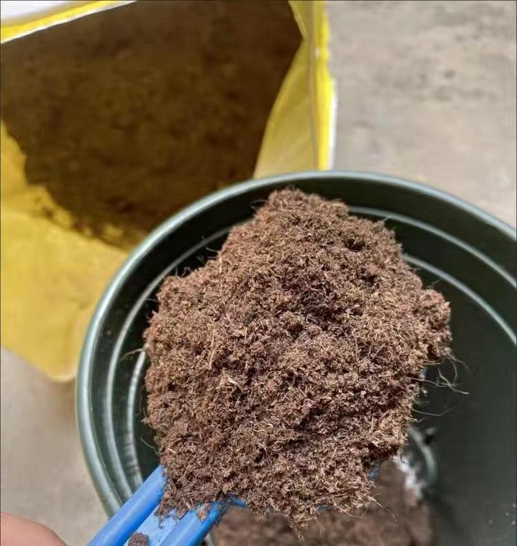 向阳园艺|养多肉的“通用配土”，不要乱花钱了，买这2样土，养多肉足够