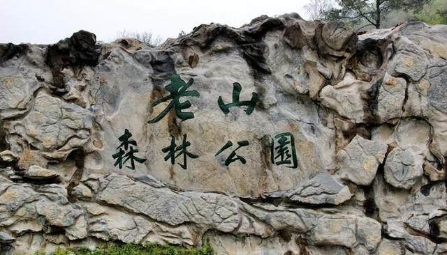 江苏省 江苏最大的森林公园，门票33元很良心，净化心灵好去处