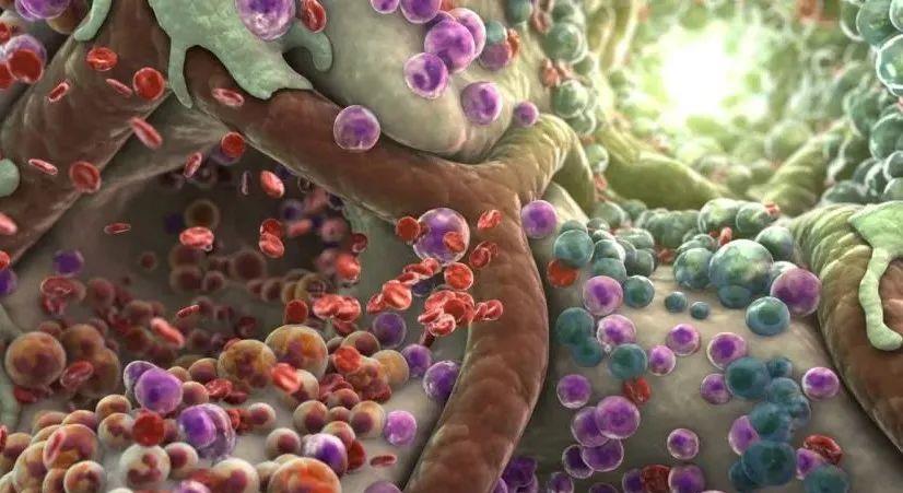  宇宙中有多少天体？相比人体细胞的数量和宇宙天体数量，谁更多？