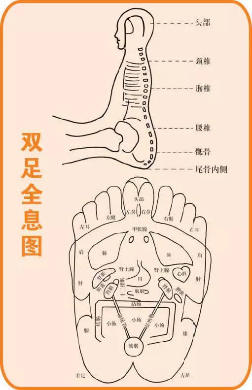 健康缘来很简单|人体全息图，哪里不适按哪里（留着备用）