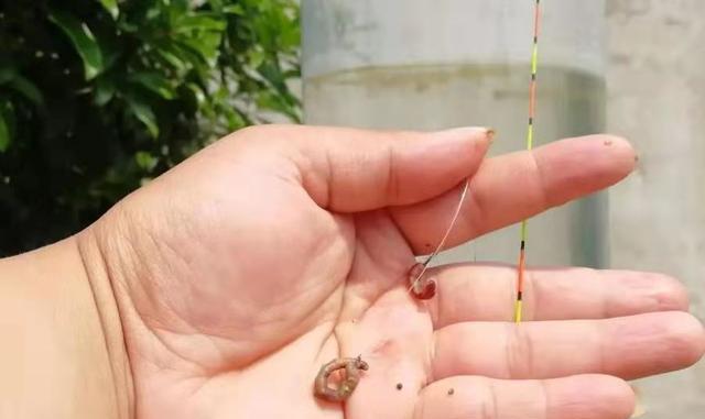 |鱼口不好时,换一种调钓方式果然管用,空钩率低,十次扬竿九次中