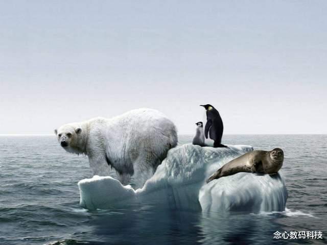 北极 地球这是怎么了？全球各地开启高温竞赛，最高70℃，快轮到我们了