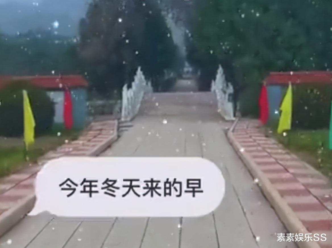 于月仙|于月仙离世4个月，张学松变得很憔悴，一个人旅行感慨一切都变了