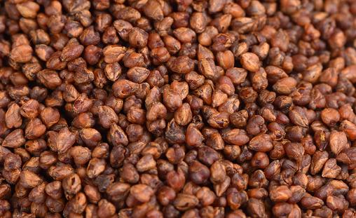 爱吃醋的小蓝孩儿 湿气重可以喝苦荞茶吗 喝苦荞茶会上火吗