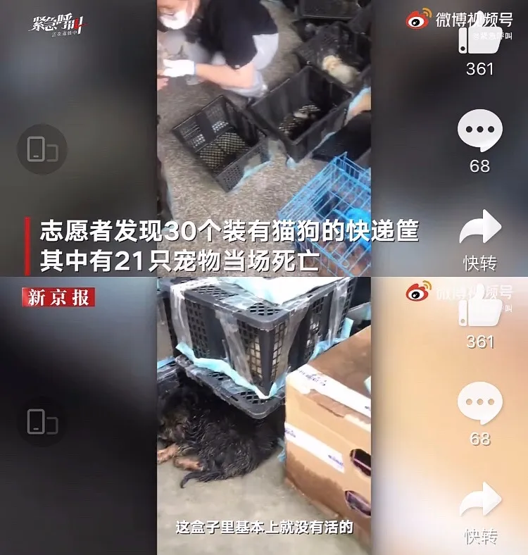 遇合情感攻略 出现尸体快递，央视怒批：你们还有底线吗？
