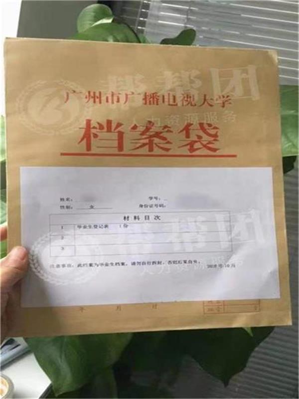 档案不见了怎么办