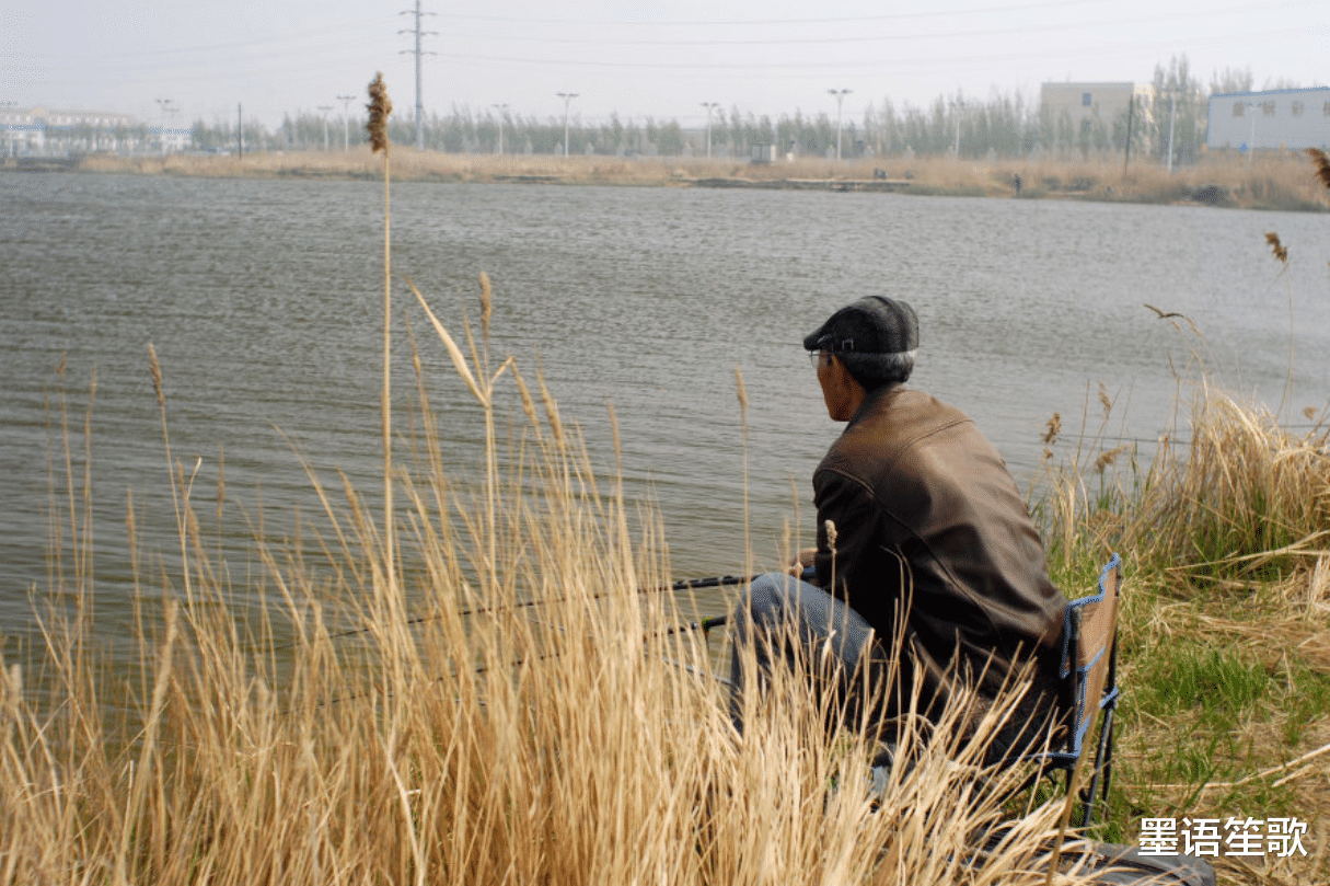 万州|河南老人钓到一只“甲鱼”，背上插着4支箭，专家：这一竿值18亿