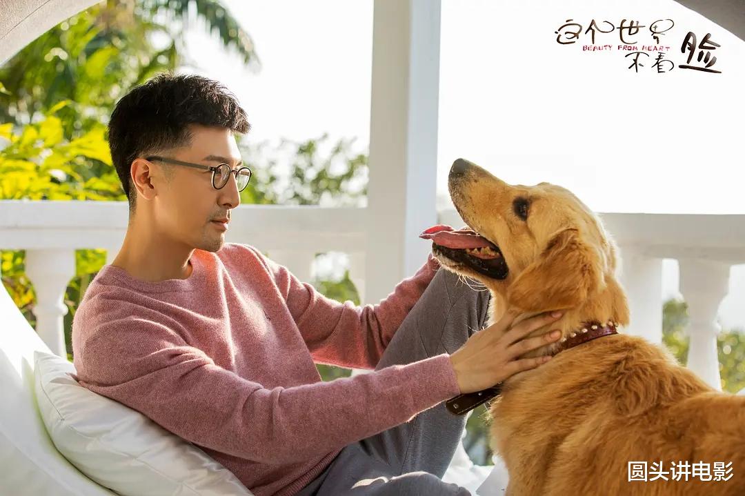 豆瓣|近期热播的4部低分烂剧：你若一部都没看，那真是太幸运了！