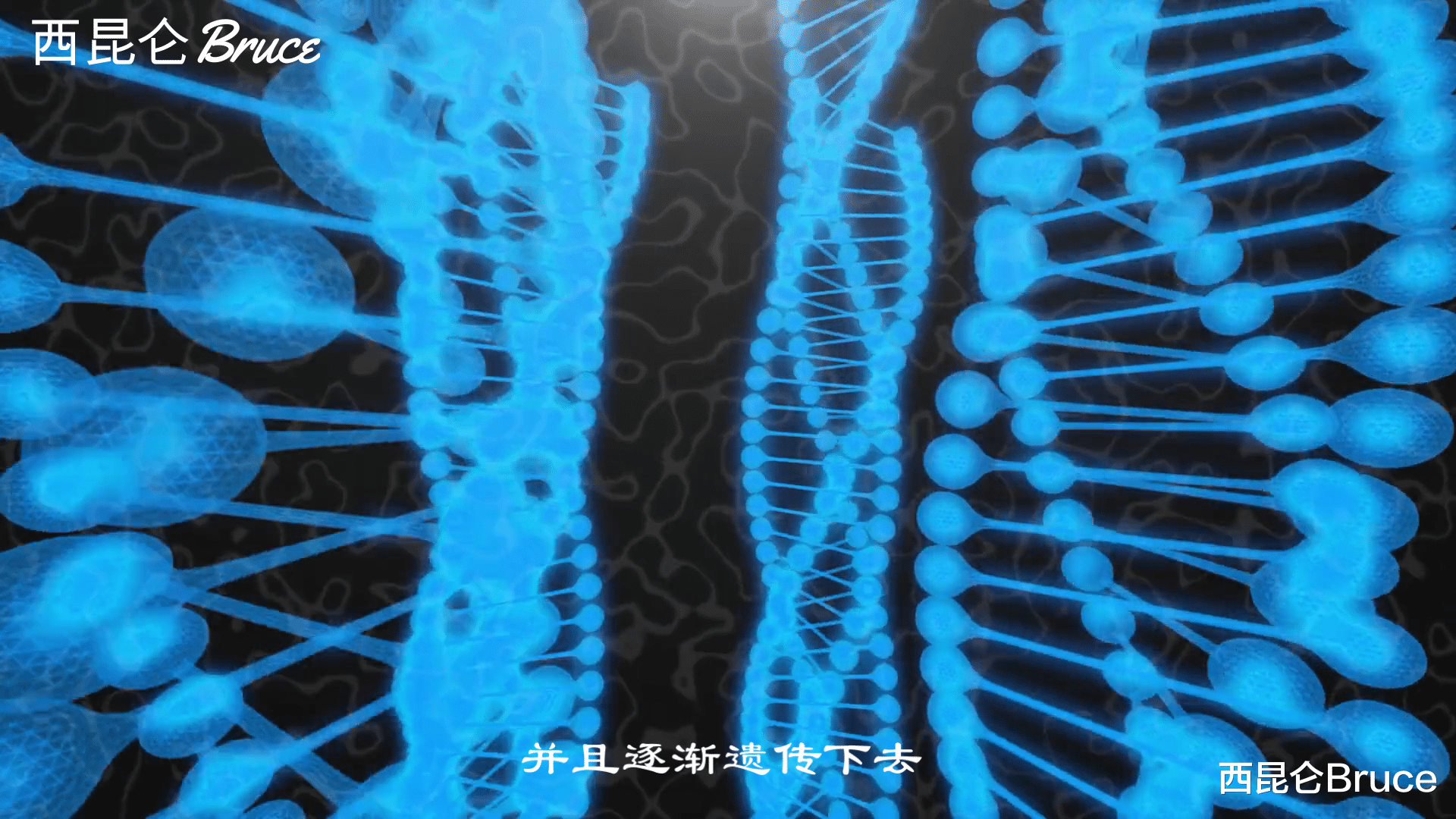 夏娃 假如你出生在火星上，会有何特征呢？回到地球，能够生存吗