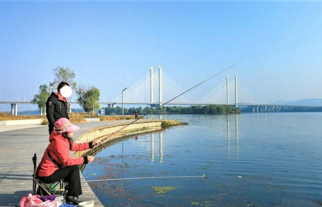 饵料|野钓鱼不开口怎么办?出现这几种漂相,不会钓鱼的人也中鱼