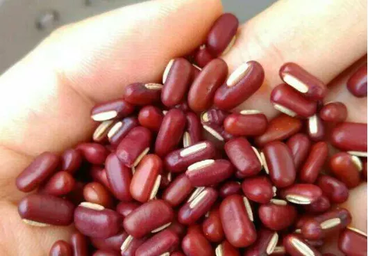 陈皮|三九天,每天在杯里放一小片,悄悄给肝脏洗澡,睡眠也好了