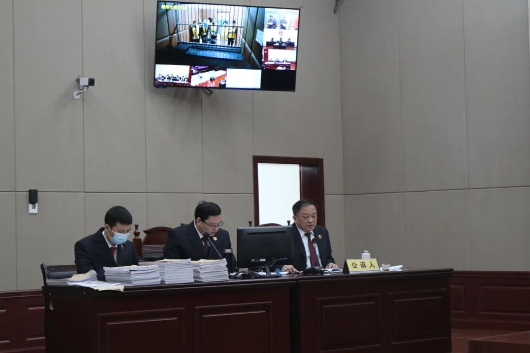发展会员3万多人 涉案资金6.6亿元“牛樟芝”传销骗局的深度解析