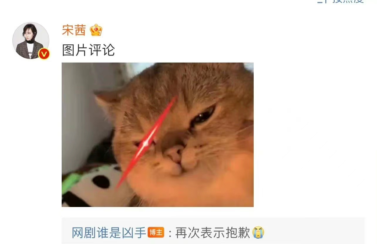 王丽坤|赵丽颖新剧得罪宋茜后又得罪王丽坤，她们都参加过《向往的生活》