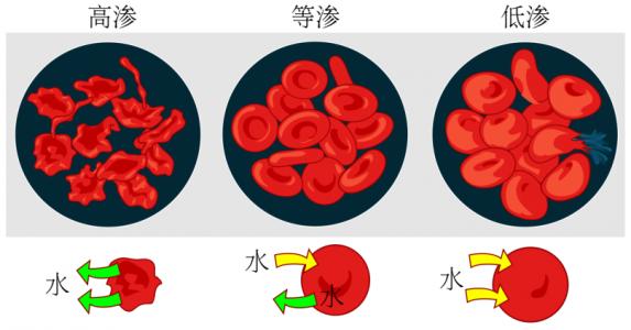宇航员 一杯水运费2万元？宇航员在太空是怎么喝水的