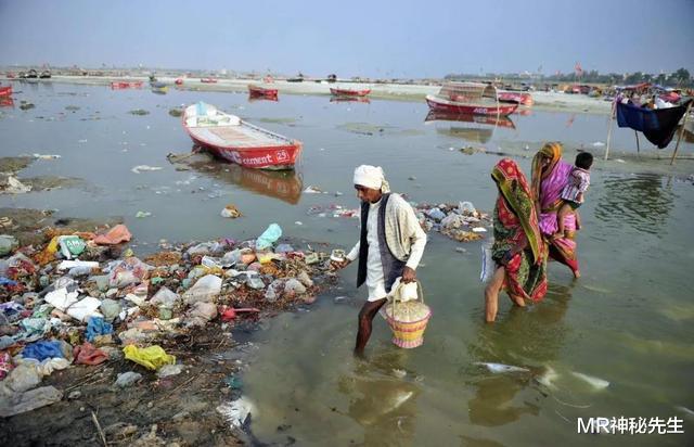 MR神秘先生|印度专家建议将恒河鳖卖到中国，为何被我国一口拒绝？