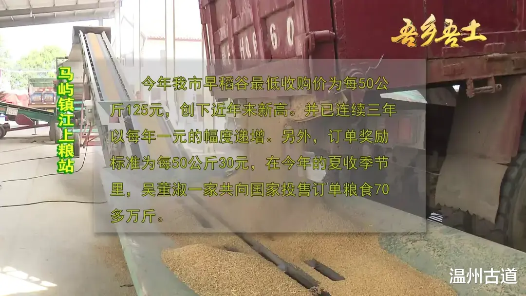温州美女跑去种田,拿下多个第一!
