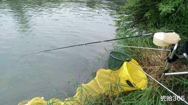 阳东|广东一男子水库夜钓,罕见收获一斤重的“虾王”,网友:外来物种