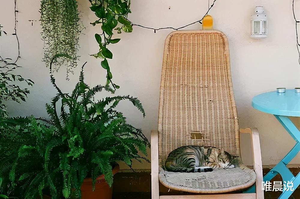 唯晨说|感悟：人生在世，不要太把自己当回事