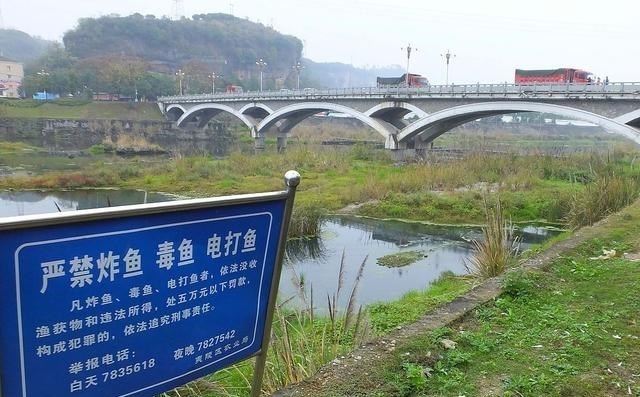 朱桀的行走记 重庆九龙坡两男子大晚上不睡觉，跑到长江边干坏事，当场被逮住了