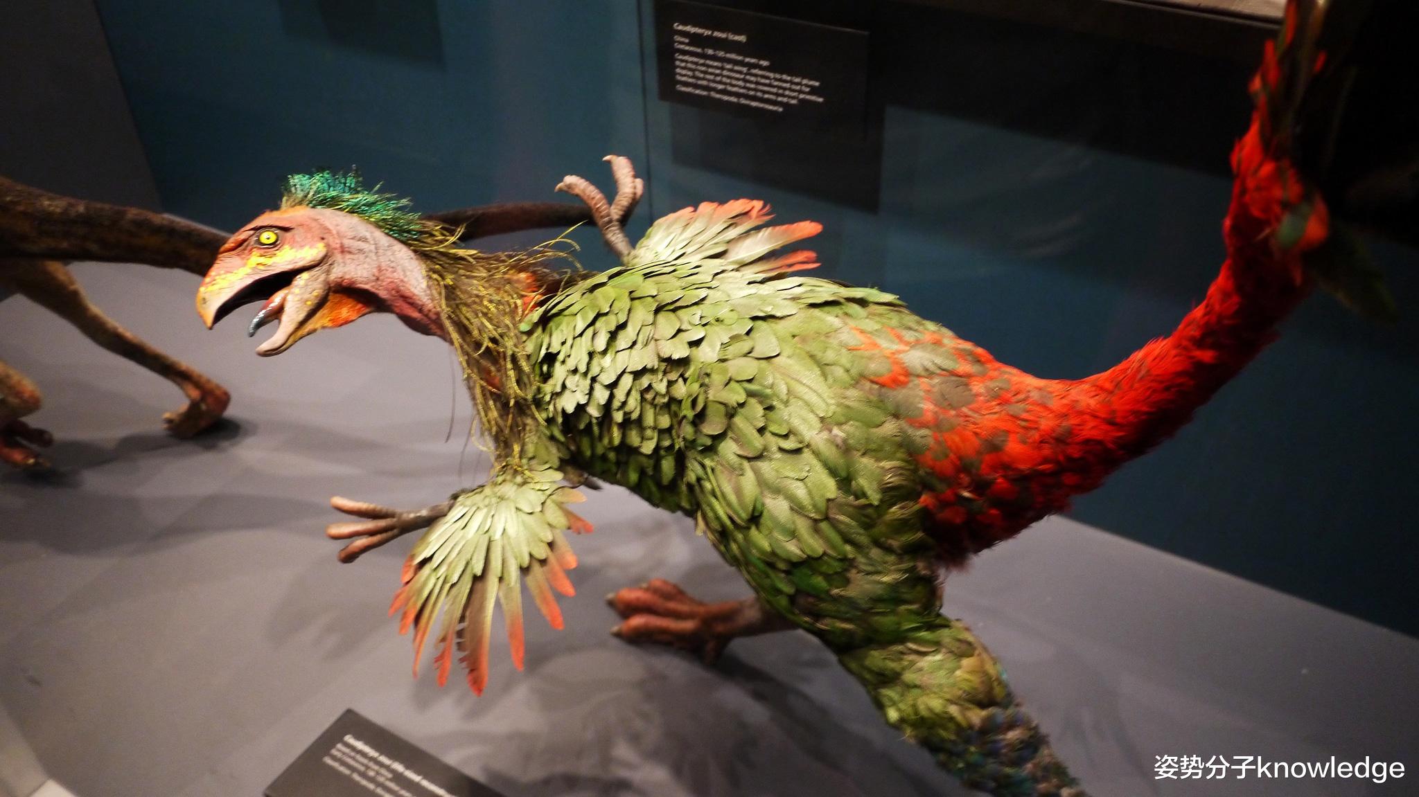 恐龙 1亿年前的恐龙DNA！中国科学家能复活恐龙吗？克隆恐龙难度在哪