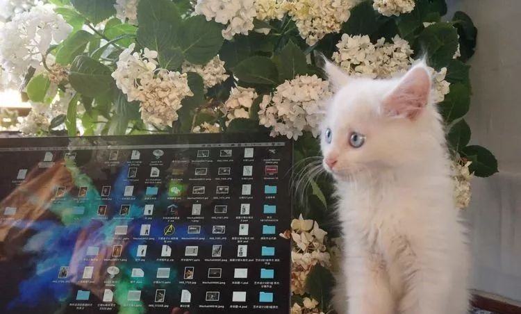 |3㎡的阳台能干嘛？这个宿舍小阳台花园或许会惊艳到你，看看吧！