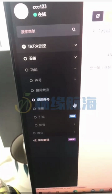 教师|Tik Tok公会代办,云控招聘主播功能,为什么要加入公会?