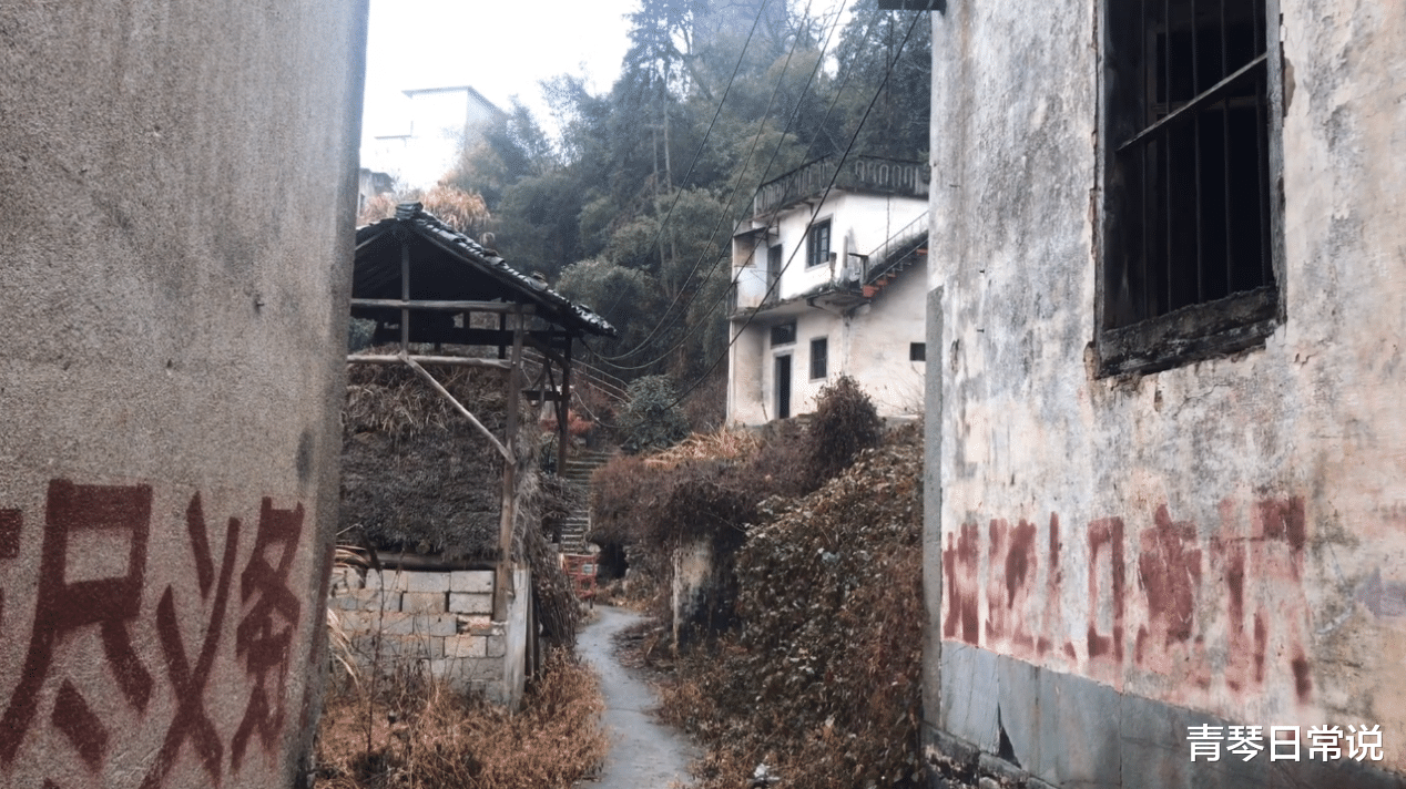 青琴日常说 安徽一个曾有上千人生活的村子，十年里只余一两人，全因后面的山