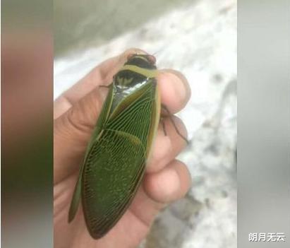 |“钓鱼的时候直接飞到我手上,你知道这是什么吗?”还是第一次见呢,哈哈哈哈