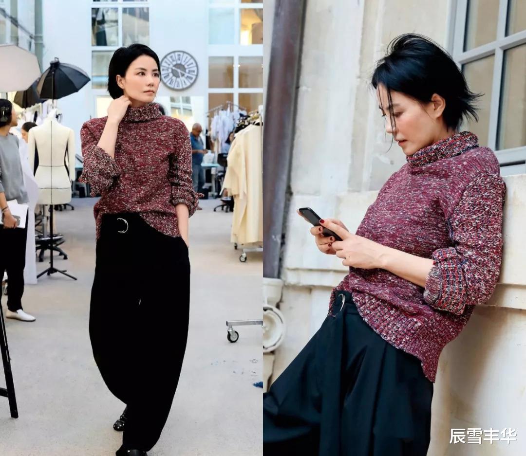 辰雪丰华 王菲的穿衣风格换品味了？打扮的好有“书生气”，看着很像班主任