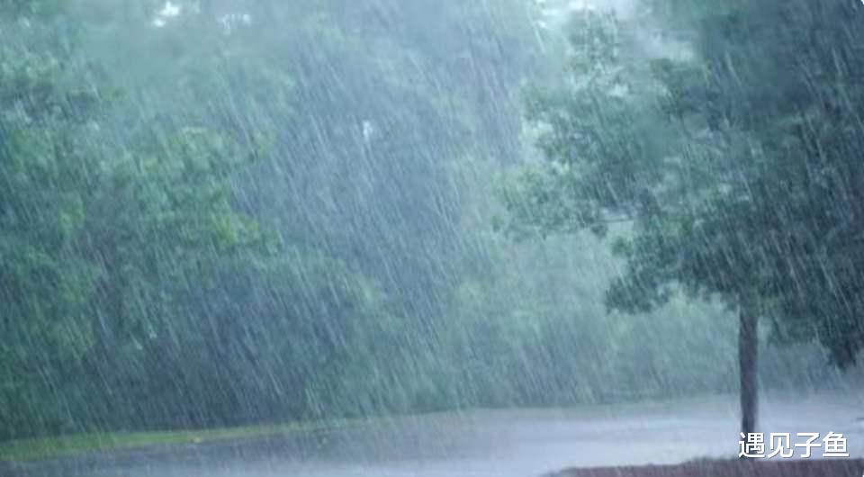 遇见子鱼|暴雨中妻子6次拒绝老公相救，老公还是开铲车来了，网友：这是爱情的模样