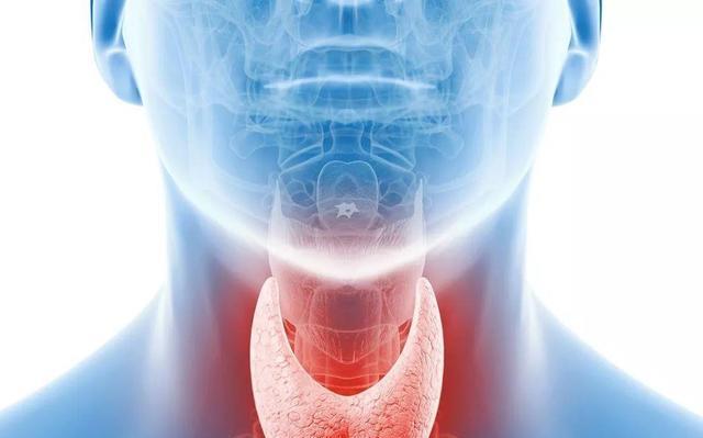 甲状腺结节|红肉，是甲状腺结节的“发物”吗？医生：这四类食物，建议管住嘴