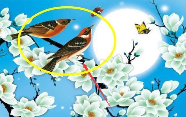 |主卧一旦挂上它，夫妻恩爱，财神上门，怪不得大家抢着挂！