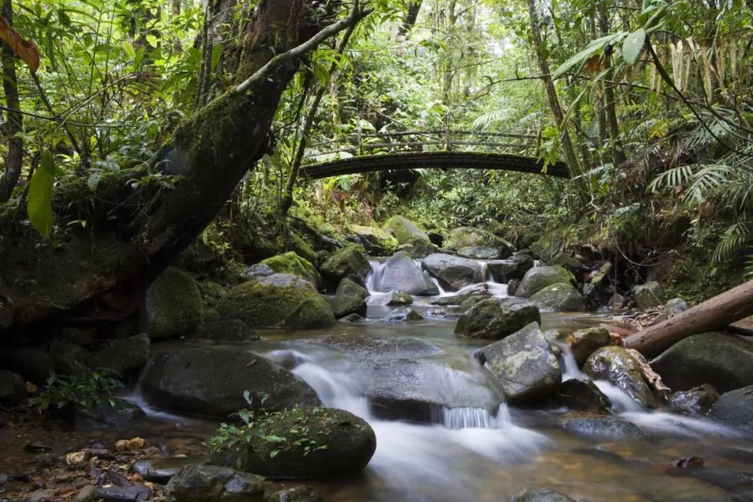 亚庇 马来西亚有哪些好玩的景点？