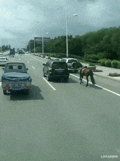 大家上卫生间时是喜欢蹲便器还是马桶呢？