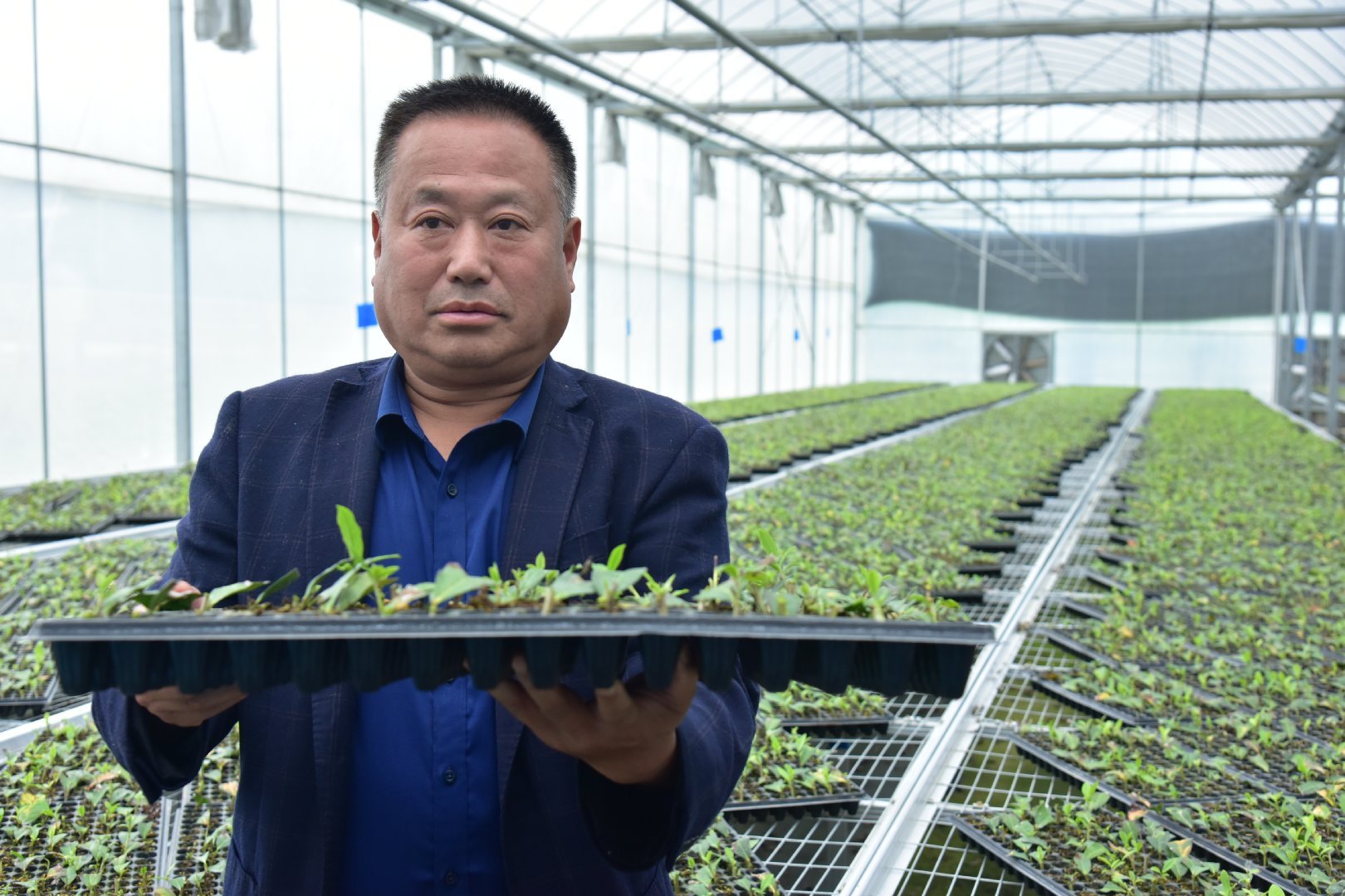 陕西微资讯 陕西商南：三代茶人接力提品质、树品牌、拓市场创出北纬33°奇迹