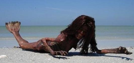 化石 真实记载的美人鱼事件：美人鱼真的存在吗？