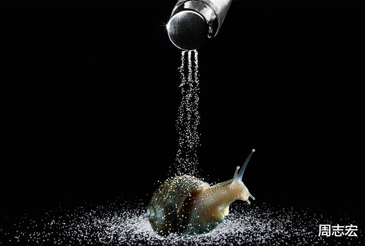  盐是怎么杀死蜗牛的？它真的会感觉到痛苦吗？