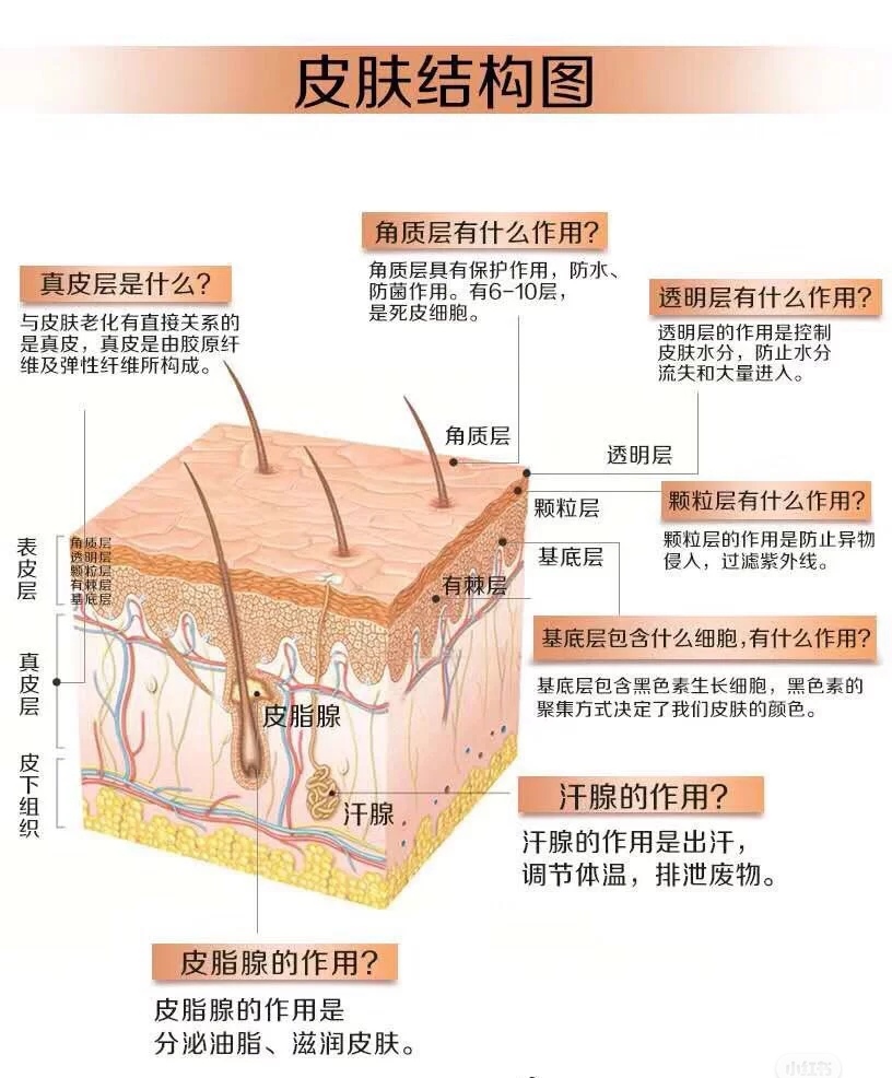 纳米|重新颠覆你对洗脸的认知