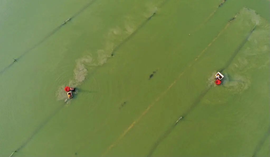 |改变这几个错误想法，你有90%的机会被领导提拔