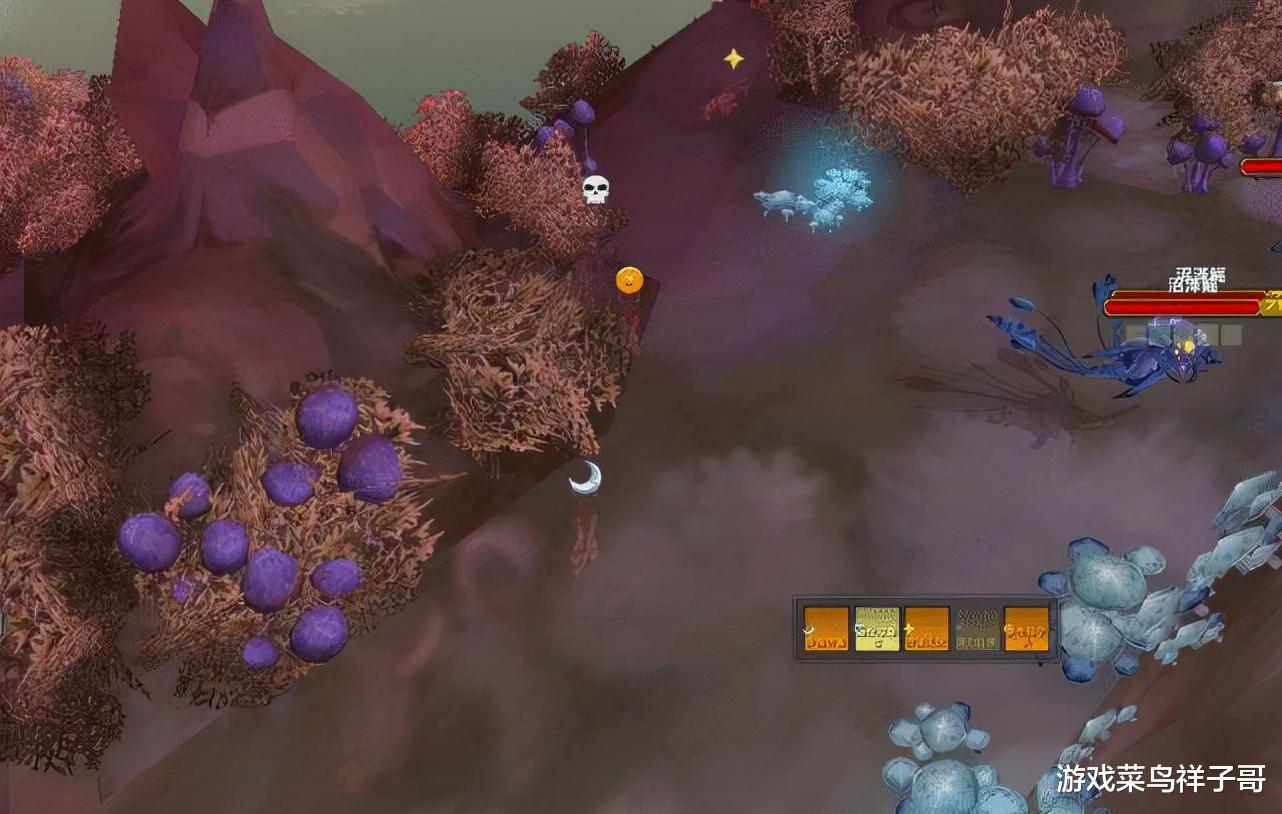 德鲁伊|魔兽TBC:潜行队里的故事多,盗贼不点潜行就会OT,避坑?