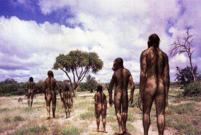 南方古猿 人类真处于食物链顶端？专家发现一种动物，曾差点将人类祖先吃光