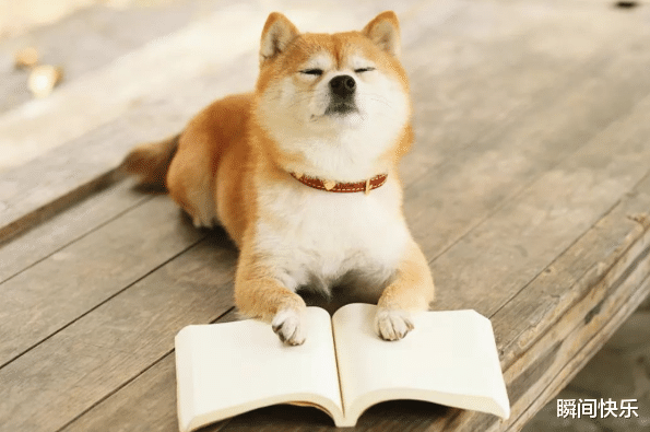 窘境|家中若有这3个生肖，9月必当窘境退去，越过低谷，事业重返巅峰