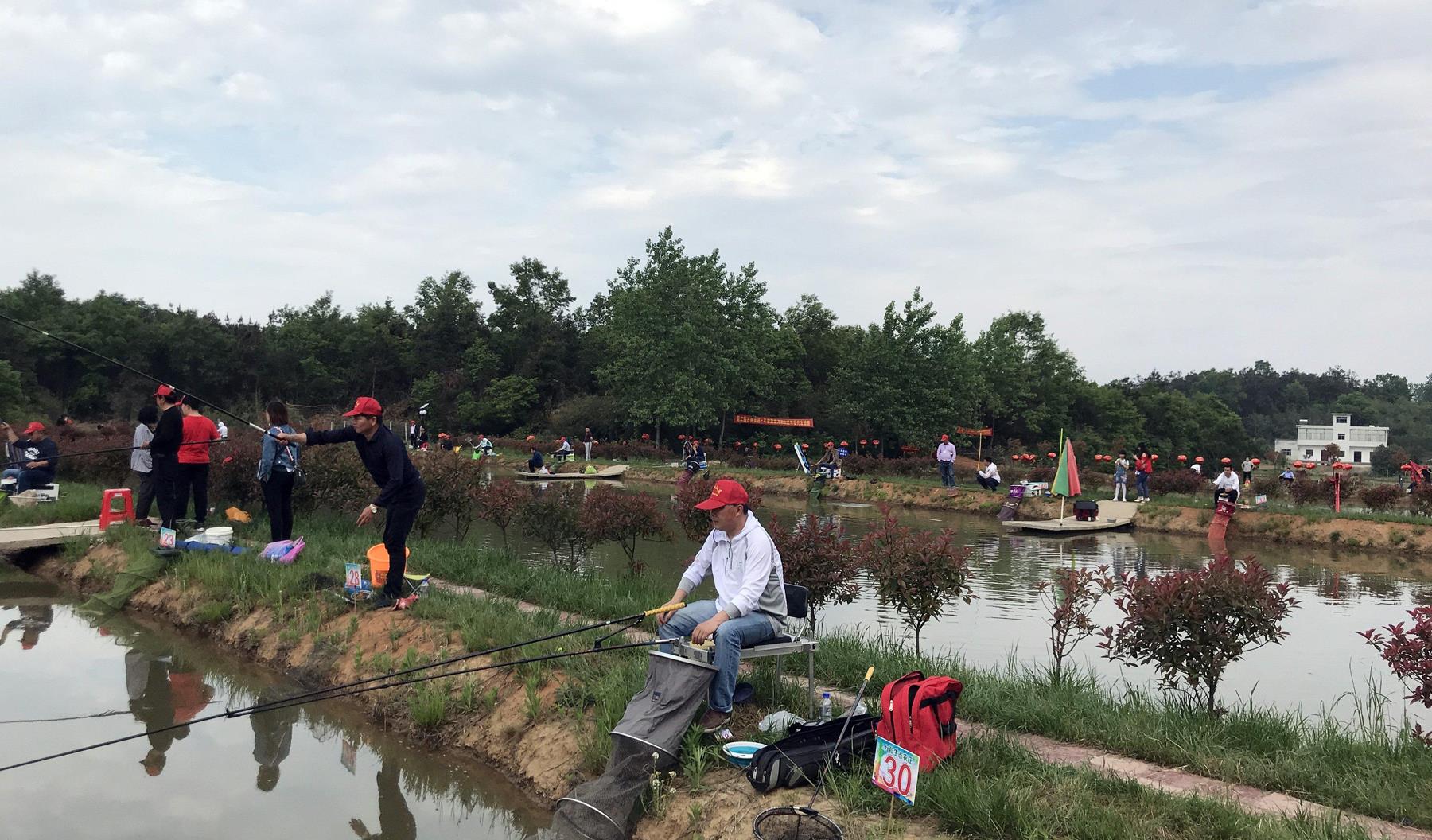 浙江省|鱼喜欢吃什么味儿的食物?会钓鱼和鱼饵的研发不能混为一谈