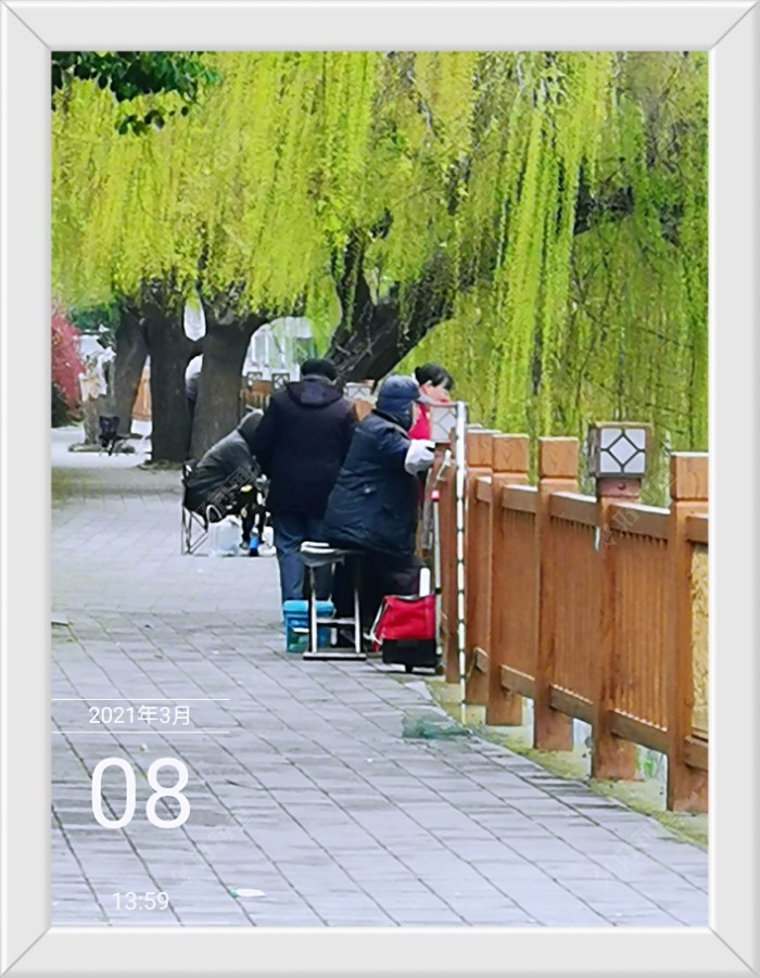 沙滩|早春同一窝点 不宜多次作钓