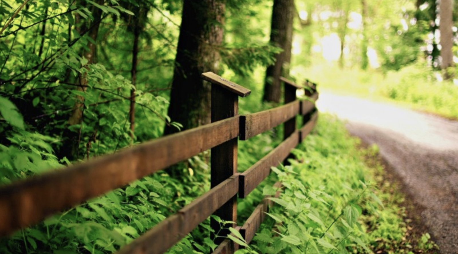 天蝎座|喜欢伪装，实则高情商的星座，习惯了装傻充愣，做人城府非常深厚