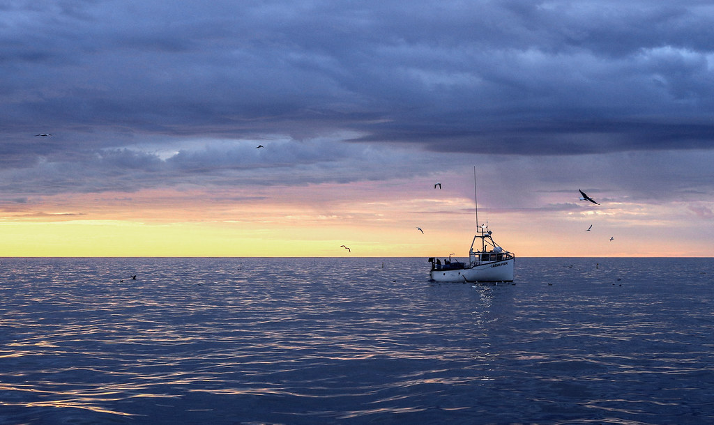 |透彻理解钓鱼动作之“三轻”（精髓）