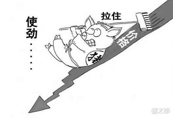 生猪价格 4月30日：无奈！92%省市的猪价下跌，猪价真可谓是“节节败退”