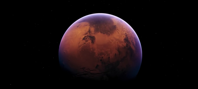 2008年,美国探测器拍到火星有大树和森林?照片不假却很诡异