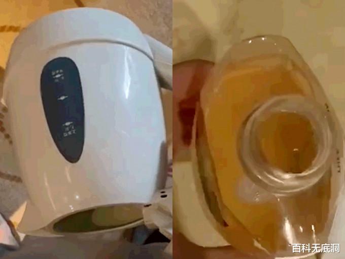 百科无底洞 网红住饭店「电热水壶内尿尿」！沐浴露里吐口水：给下一位客人用